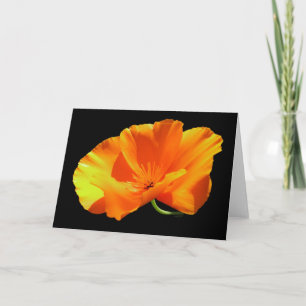 California Poppy Blank Karte