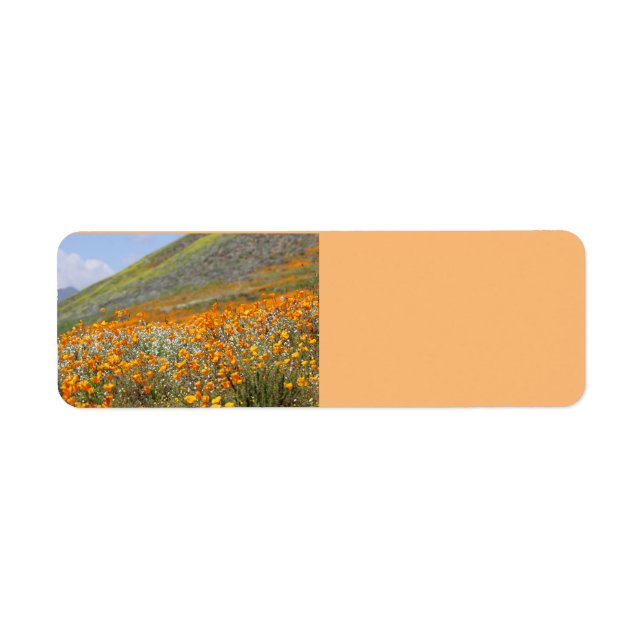 California Poppy Fields Rücksendeadressen-Aufklebe (Vorne)
