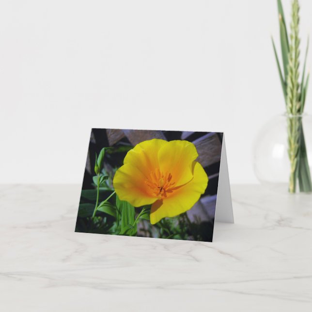 California Poppy Grußkarte Karte (Vorderseite)