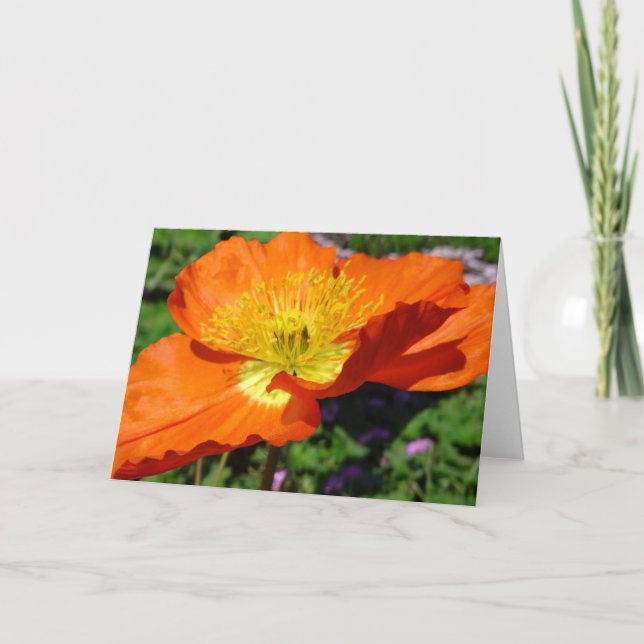 California Poppy Grußkarte Karte (Vorderseite)