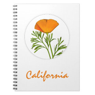 California Poppy in einem Zirkel, "California" Tex Notizblock