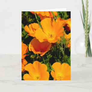 "California Poppy" Karte