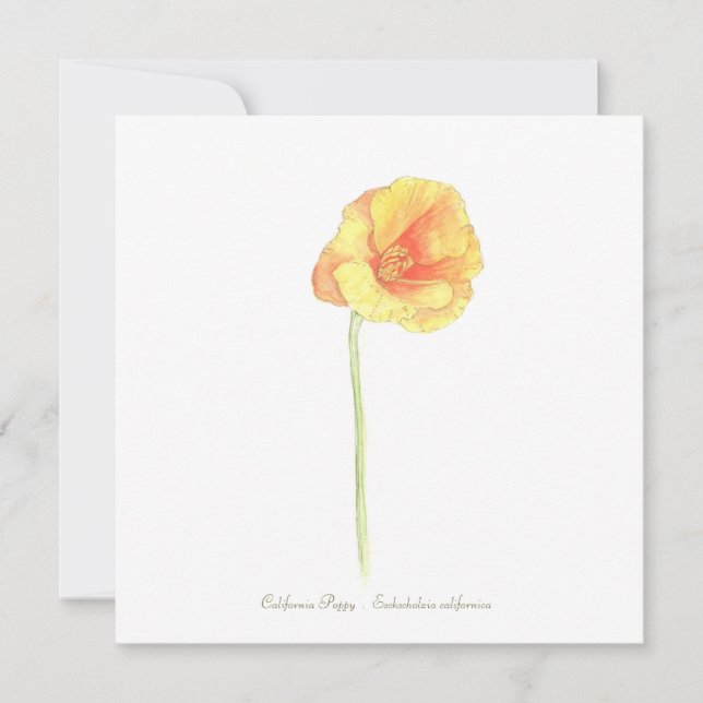 California Poppy Karte (Vorderseite)