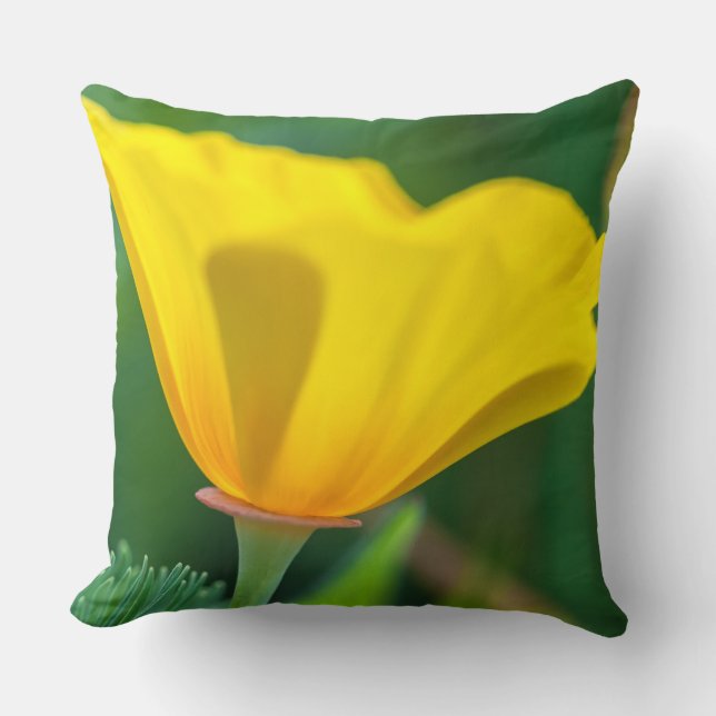 California Poppy Kissen (Vorderseite)