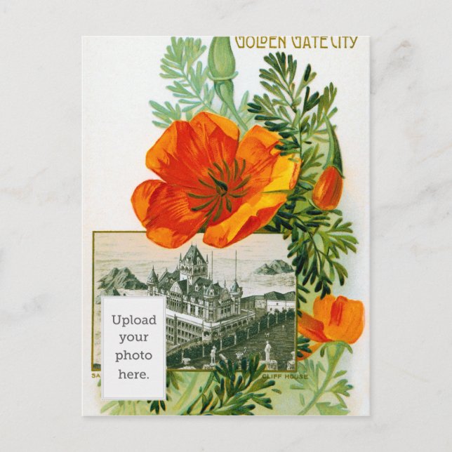 California Poppy Postkarte (Vorderseite)