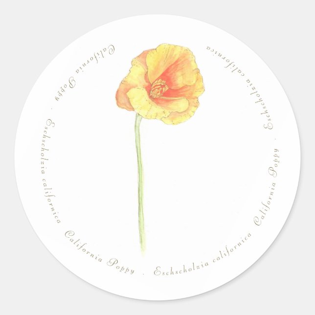California Poppy Runder Aufkleber (Vorderseite)