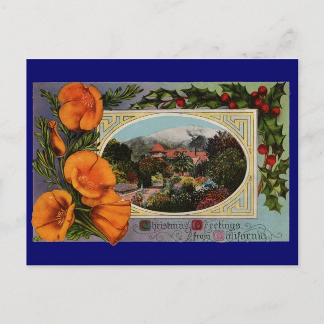 California Poppy Vintage Feiertagspostkarte (Vorderseite)