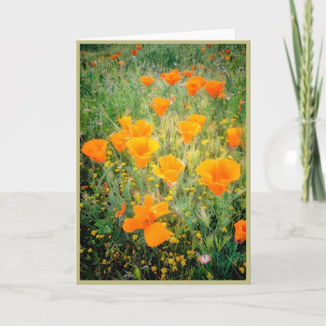 California Poppy's Karte (Vorderseite)