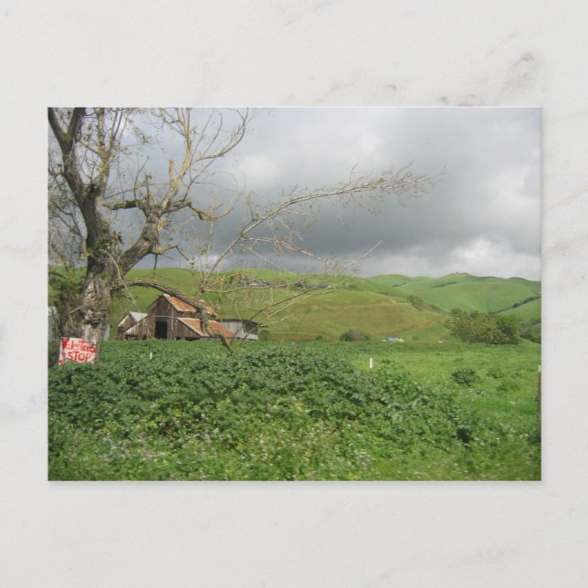 California Postcard - Gilroy, Kalifornien Postkarte (Vorderseite)