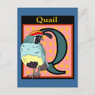 California Quail Bird Postkarte