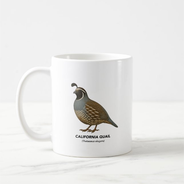 California Quail - Vögel in Kalifornien Kaffeetasse (Links)