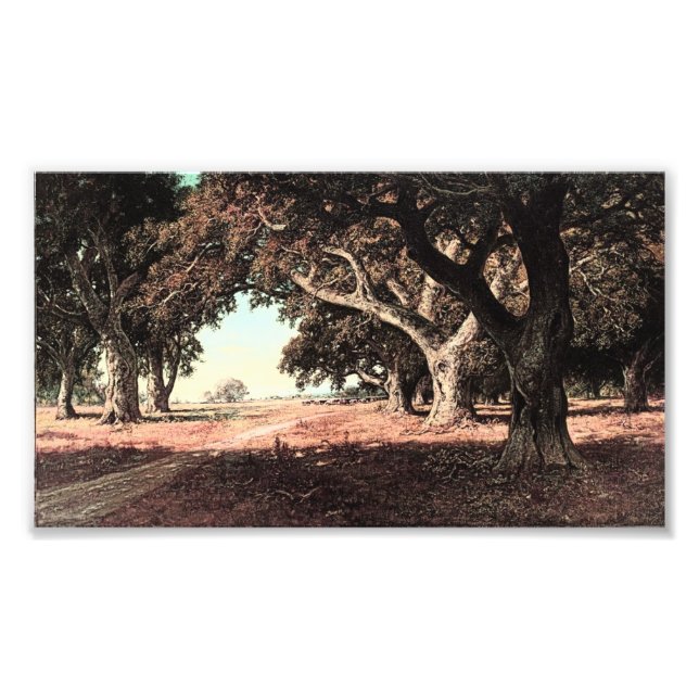 California Ranch von William Keith (modifiziert) Fotodruck (Vorne)