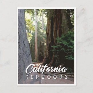 California Redwoods Post Card Postkarte