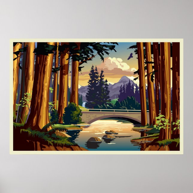 California Redwoods Poster (Vorne)