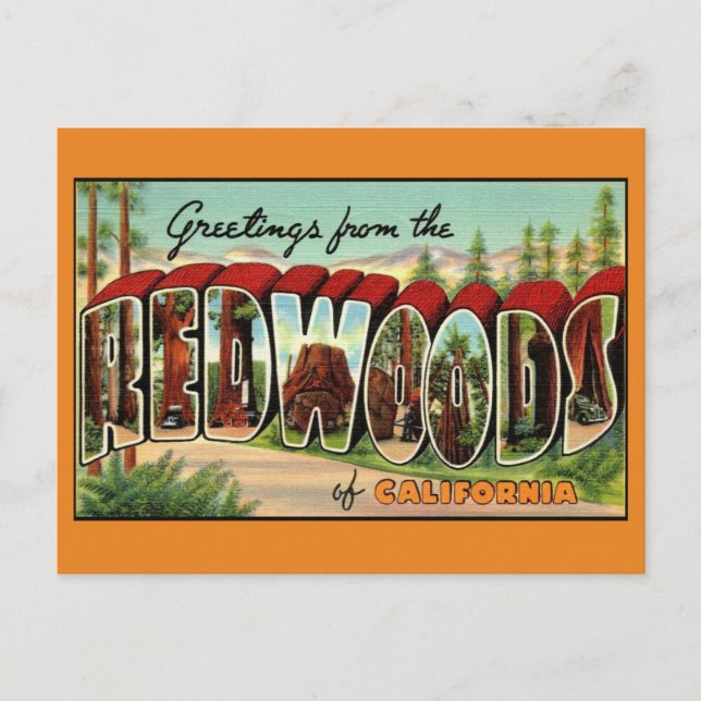  California Redwoods Vintag Gruß Postkarte (Vorderseite)