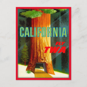 California Redwoods Vintage Postkarte