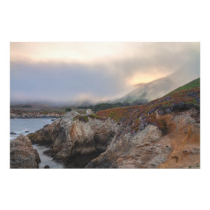 California Rocky Coastline Fotodruck