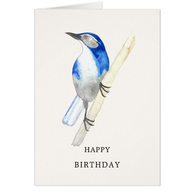 California Scrub Jay Bonne carte d'anniversaire (Devant)