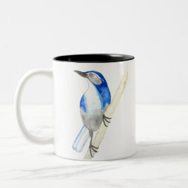 California Scrub Jay Zwei-Tone-Kaffee-Tasse Zweifarbige Tasse