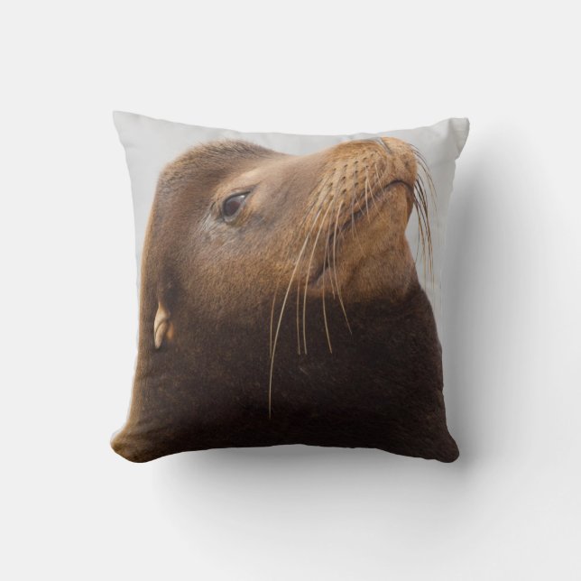 California Sea Lion Kissen (Vorderseite)