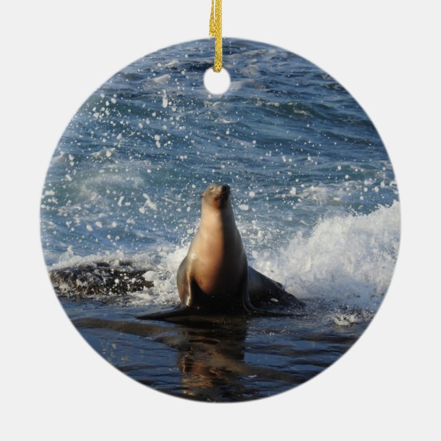 California sea lion, wildlife, ceramic ornament (Hinten)