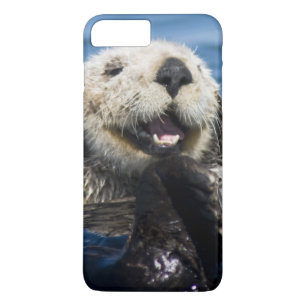 California Sea Otter Enhydra lutris) grooms Case-Mate iPhone Hülle