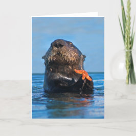 California Sea Otter Holding Starfish Karte