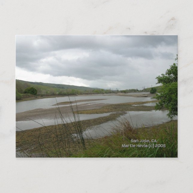 California Seasons - Coyote Creek Postkarte (Vorderseite)