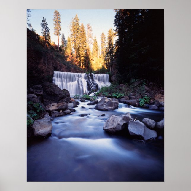 California, Shasta-Trinity National Forest Poster (Vorne)