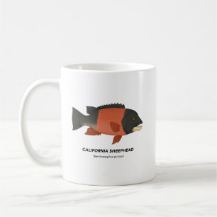 California Sheephead - Meerestiere in Kalifornien Kaffeetasse