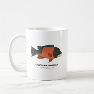 California Sheephead - Meerestiere in Kalifornien Kaffeetasse