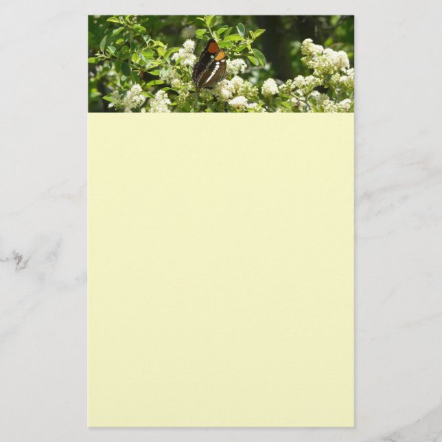 California Sister Butterfly in Yosemite Briefpapier (Vorderseite)