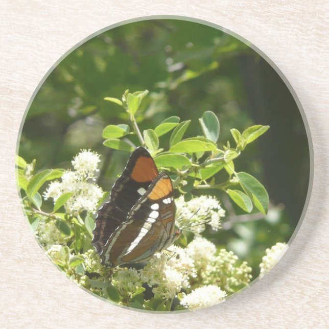 California Sister Butterfly in Yosemite Untersetzer (Vorne)