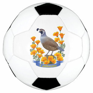 California Staat Bird Quail & Golden Poppy Fußball