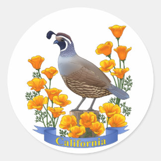 California Staat Bird Quail & Golden Poppy Runder Aufkleber