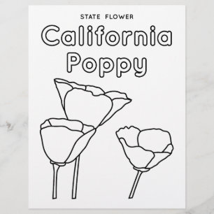 California Staat Blume Mohn Flyer