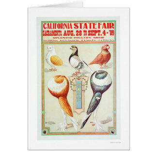 California State Fair 1909