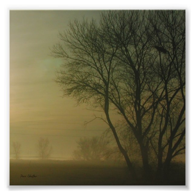 California Sunrise Tree Silhouette Fotografie (Vorne)