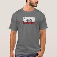 California Surf Syndication-Flagge