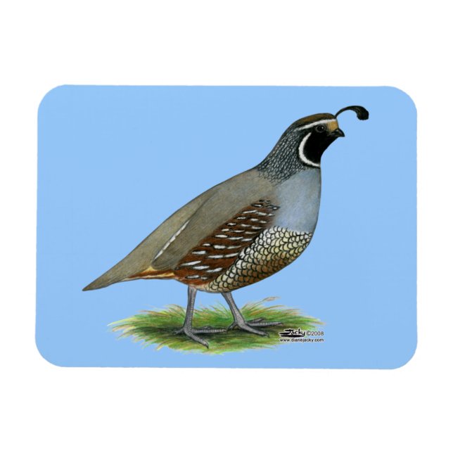California Valley Magnet (Horizontal)