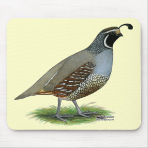 California Valley Mousepad