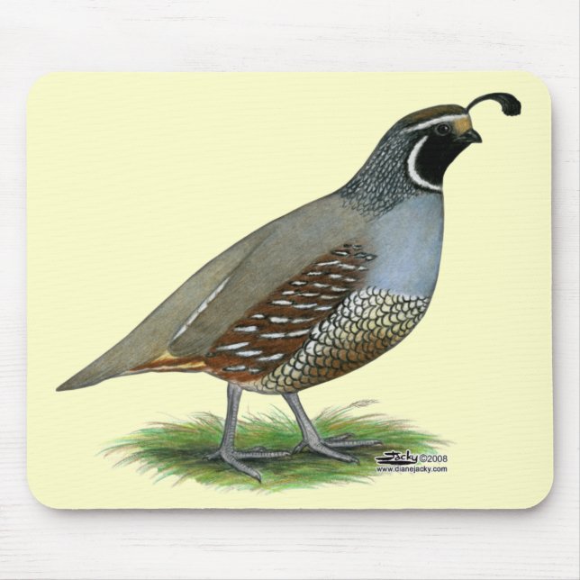 California Valley Mousepad (Vorne)