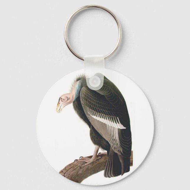 California Vulture (Condor), Audubon Fine Art Schlüsselanhänger (Vorderseite)