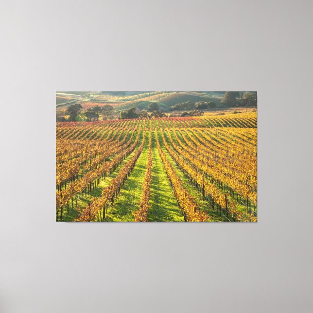California Wine Country Leinwanddruck (Vorderseite)