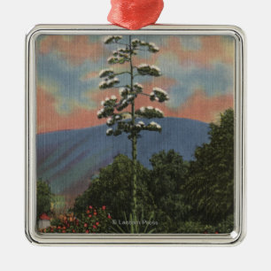 CaliforniaCentury Pflanze in der Blüte Silbernes Ornament