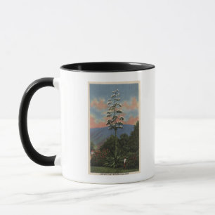 CaliforniaCentury Pflanze in der Blüte Tasse
