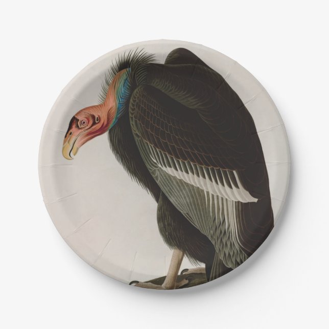 Californian Vulture Birds of America Audubon Print Pappteller (Vorderseite)