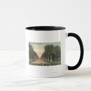 CaliforniaPalms neben Straße Tasse