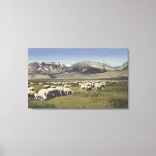 CaliforniaSheep, das in der hohen Sierra weiden Leinwanddruck