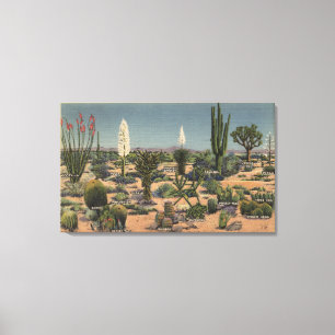 CaliforniaVarieties der Wüsten-Kakteen Leinwanddruck